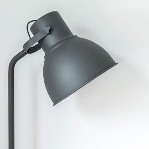 Lorem Ipsum Dolor Sit (Demo)